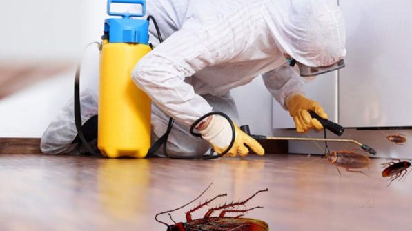 Fumigation-and-Pest-Control_34
